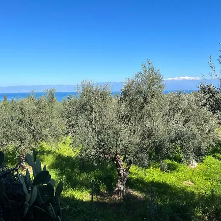 Peaceful Amongst Olive Groves By The Sea *