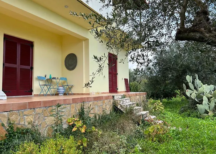 Peaceful Amongst Olive Groves By The Sea