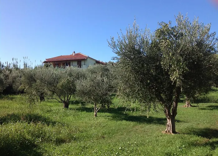 Peaceful Amongst Olive Groves By The Sea * Koróni