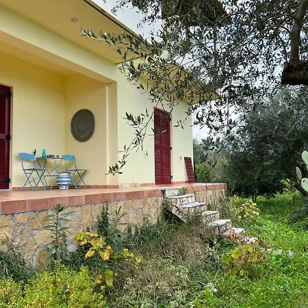 Peaceful Amongst Olive Groves By The Sea