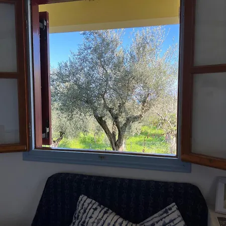Peaceful Amongst Olive Groves By The Sea *