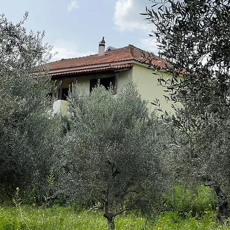 Peaceful Amongst Olive Groves By The Sea Holiday home Koroni (Messinia)
