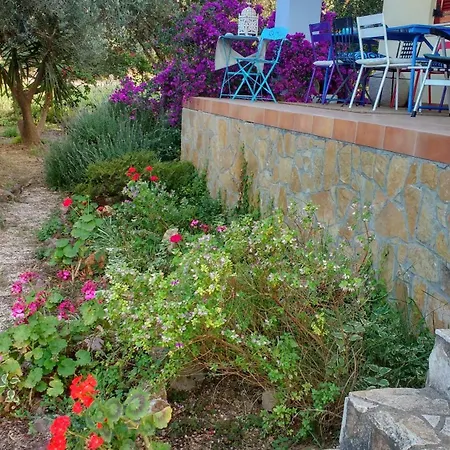 Peaceful Amongst Olive Groves By The Sea