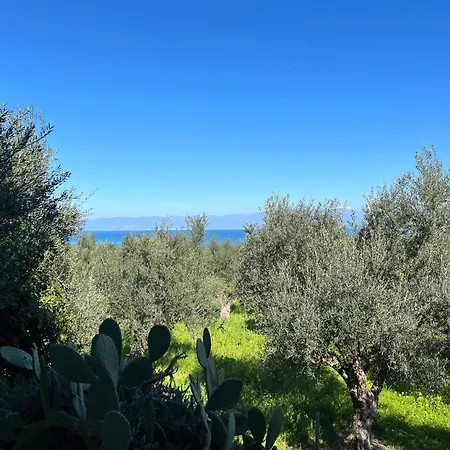 Peaceful Amongst Olive Groves By The Sea Holiday home *