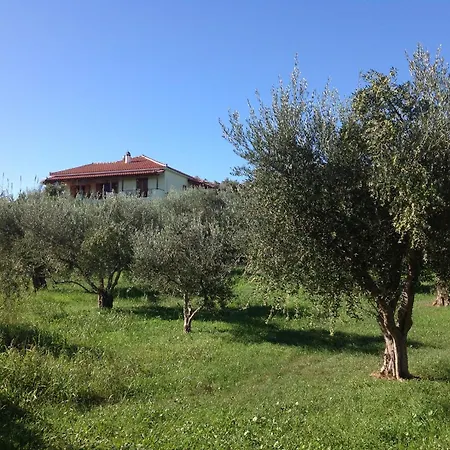 Peaceful Amongst Olive Groves By The Sea * Koroni (Messinia)