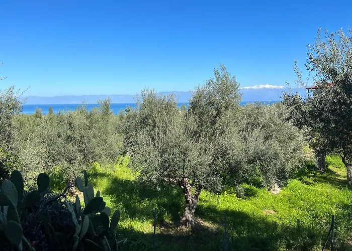 Peaceful Amongst Olive Groves By The Sea *